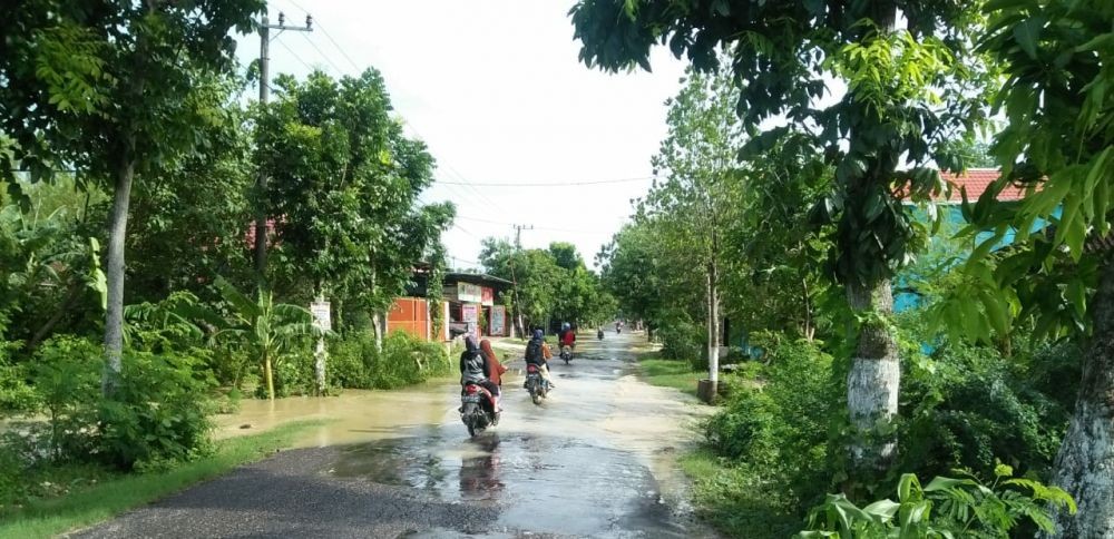 Kali Gendong Meluap, Ratusan Hektar Sawah Terancam Gagal Panen