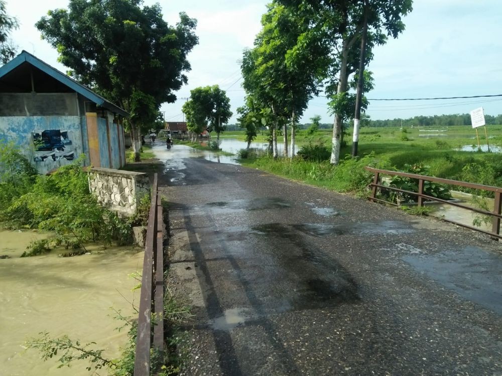 Kali Gendong Meluap, Ratusan Hektar Sawah Terancam Gagal Panen