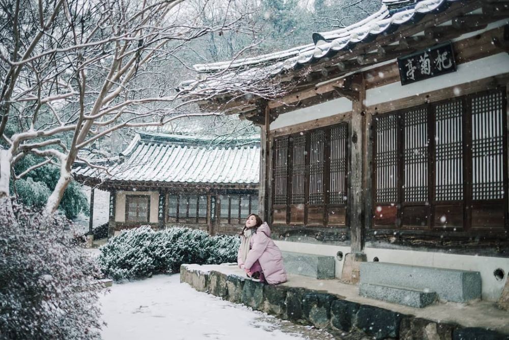 11 Potret Indahnya Taman Di Korea Selatan Saat Diselimuti Salju