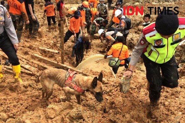Tertimbun Longsor, Seorang Bayi Ditemukan Masih Bernyawa