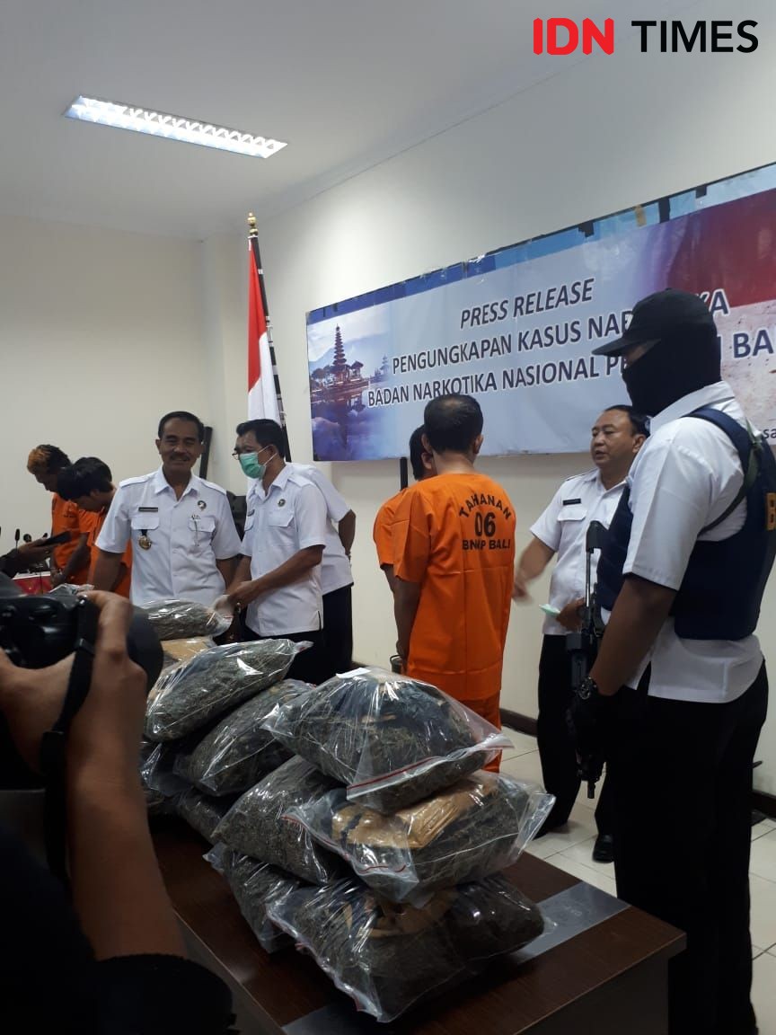 25 Kg Ganja Masuk ke Bali, BNNP Buru Jaringan Medan & Lapas Kerobokan