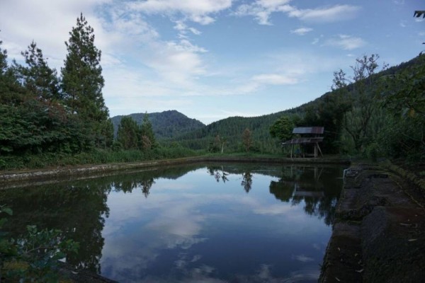 Dekat dengan Pusat Wisata, 10 Guest House di Bandung paling Worth It!