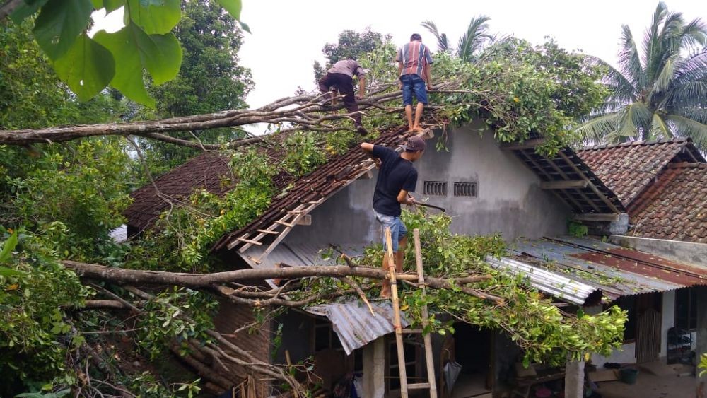 Hujan Deras, 2 Rumah di Lereng Gunung Wilis Tertimpa Pohon Tumbang