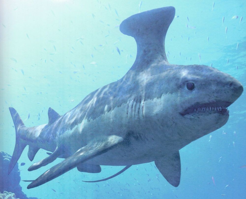 Mengerikan Banget, Ini 11 Monster Laut Raksasa pada Zaman Prasejarah