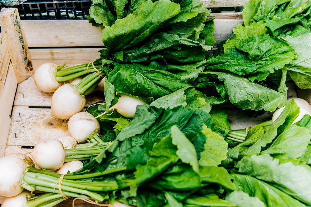 Selamat Tinggal Suara Kodok! Makanan Ini Bikin Serak Jadi Cepat Reda 