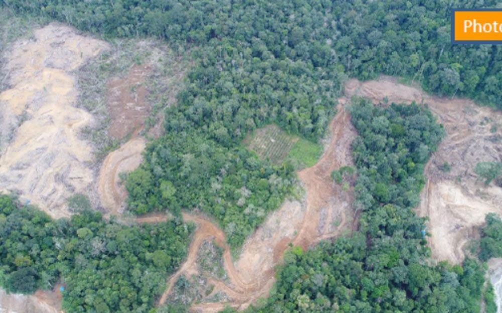 Koalisi Perlindungan Ekosistem Batangtoru Surati Presiden Jokowi