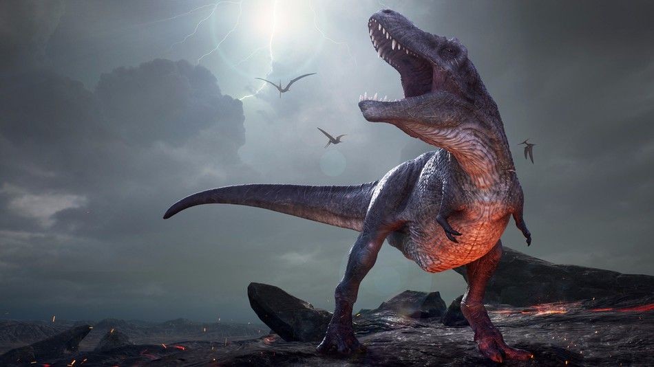 Wah, Penelitian ini Menjelaskan T-Rex Ternyata Gak Bisa Lari