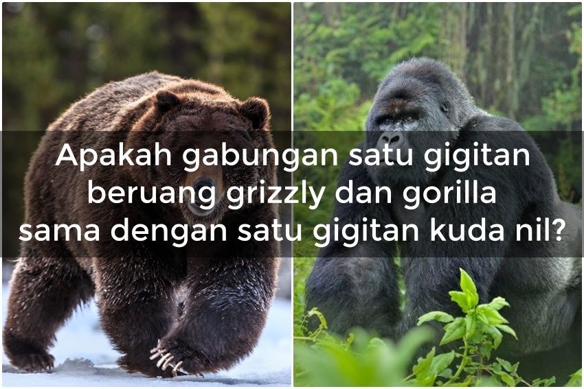 [Quiz Pengetahuan] Tebak Hewan dengan Gigitan Terkuat! Kamu Salah Berapa Hayoo?