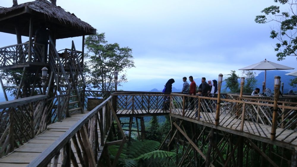 Menakjubkan! 10 Potret Wisata Rumah Pohon Habitat di Langkat