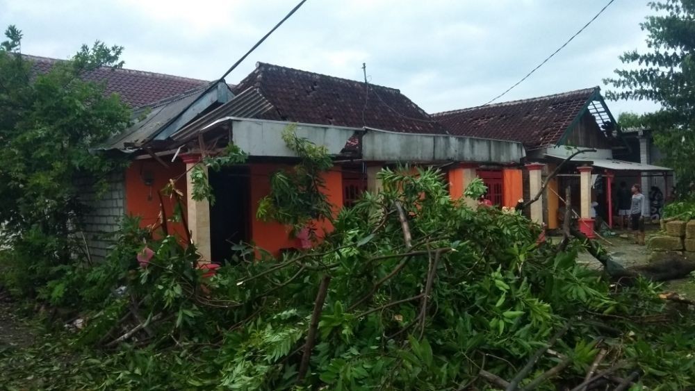 Diterjang Puting Beliung, Puluhan Rumah di Tuban Rusak