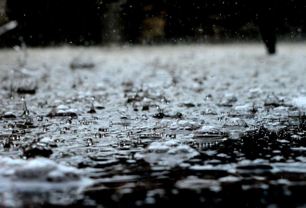BMKG Imbau Petani Waspadai Hujan Tipuan, Bisa Merugikan