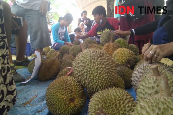NTB akan Jadikan Gunung Sasak Lombok Destinasi Wisata Durian