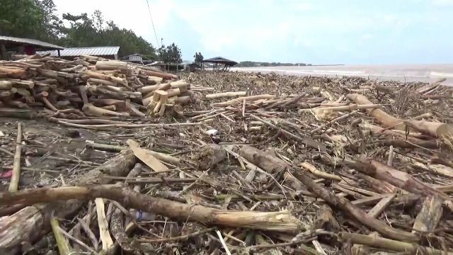 Sampah Kayu Penuhi Kawasan Wisata Pantai Tanjung Bayang di Makassar