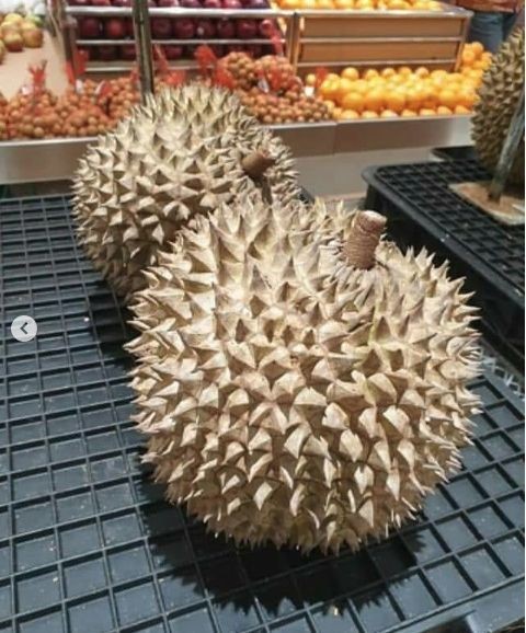 Heboh Durian Seharga Rp14 Juta di Tasikmalaya, Apa Istimewanya Sih?