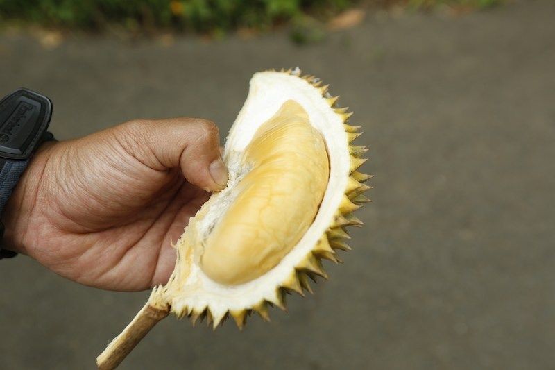 Heboh Durian Seharga Rp14 Juta di Tasikmalaya, Apa Istimewanya?