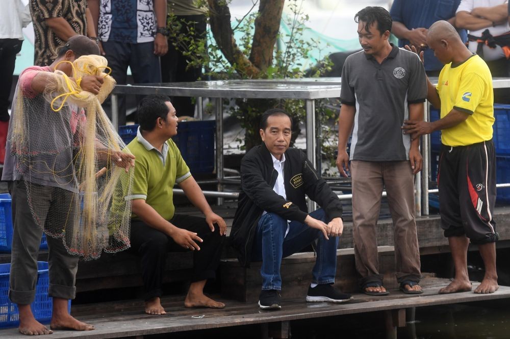 Lagi Panen Udang, Tangan Jokowi Dipatil hingga Berdarah