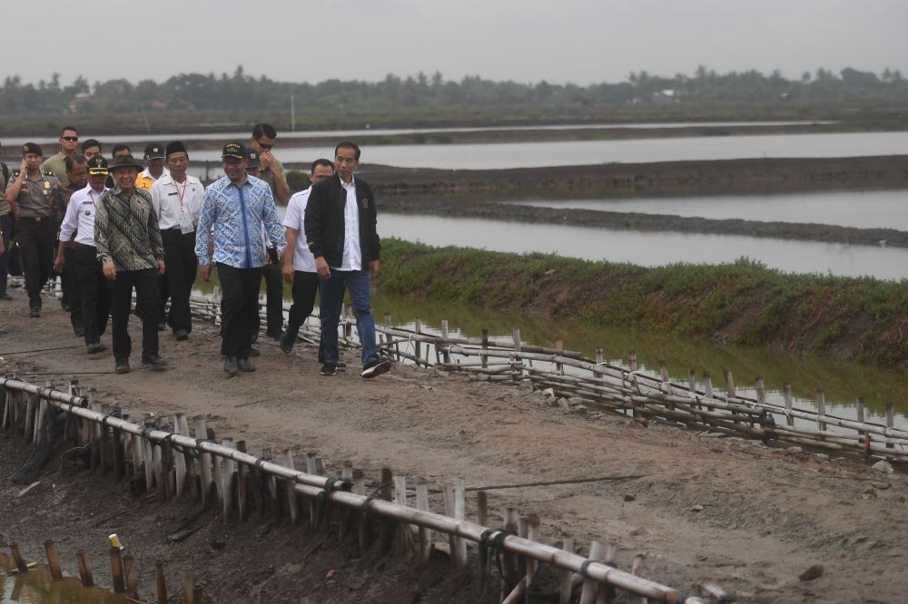 Lagi Panen Udang, Tangan Jokowi Dipatil hingga Berdarah