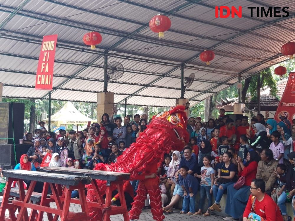 Libur Imlek di Kebun Binatang Surabaya, Ada Pertunjukan 'Keeper Talk'