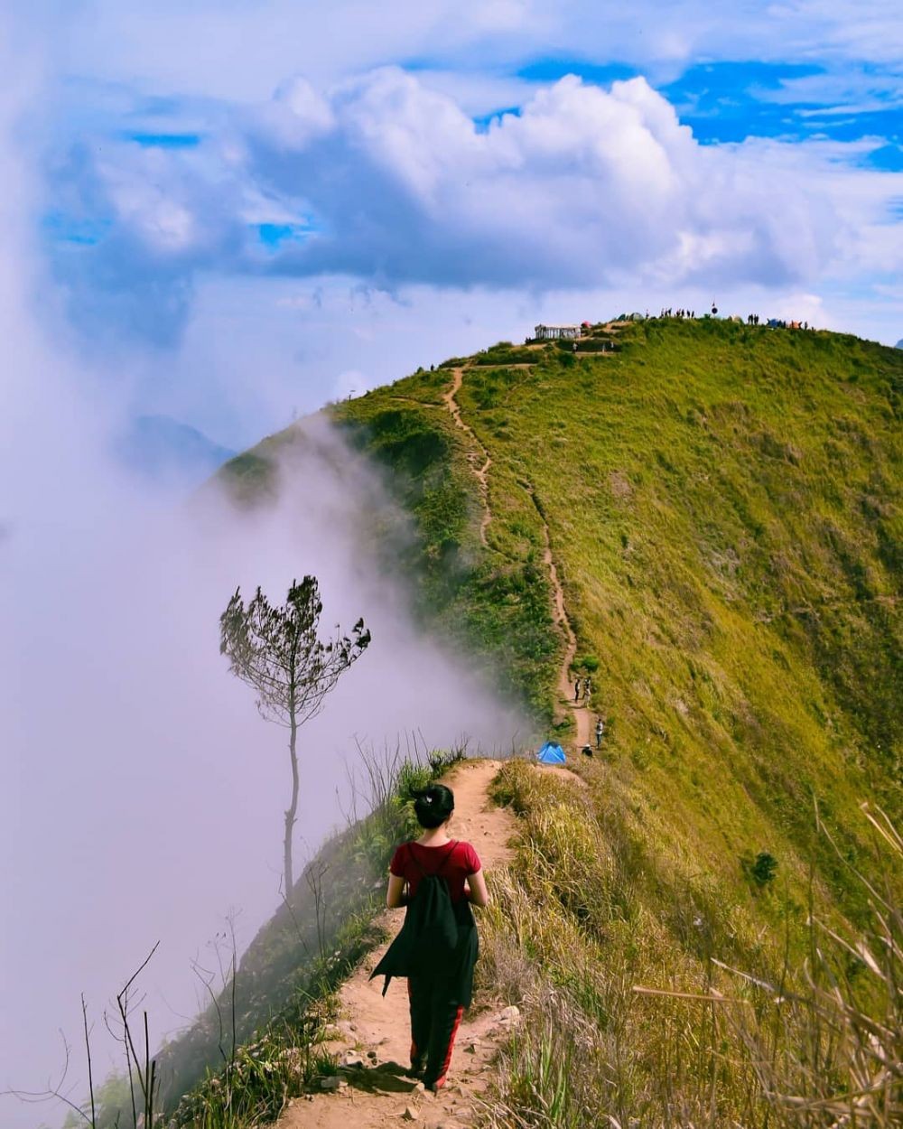 Rekomendasi Gunung Di Jawa Untuk Pendaki Pemula Boleh Dicoba Nih