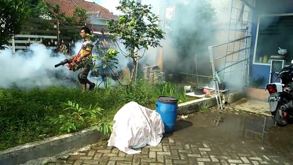 180 Orang Meninggal Akibat Demam Berdarah di Indonesia