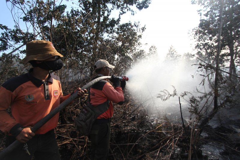 Kebakaran Meluas, Tercatat 843 Hektare Hutan Riau Sudah Terbakar