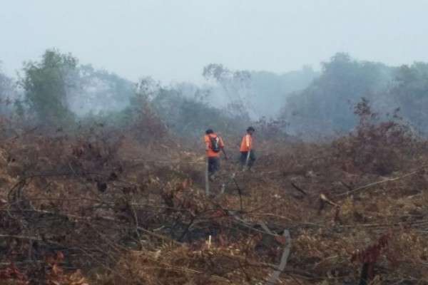 BMKG Deteksi 3 Titik Panas Di Aceh Bagian Barat Dan Tengah