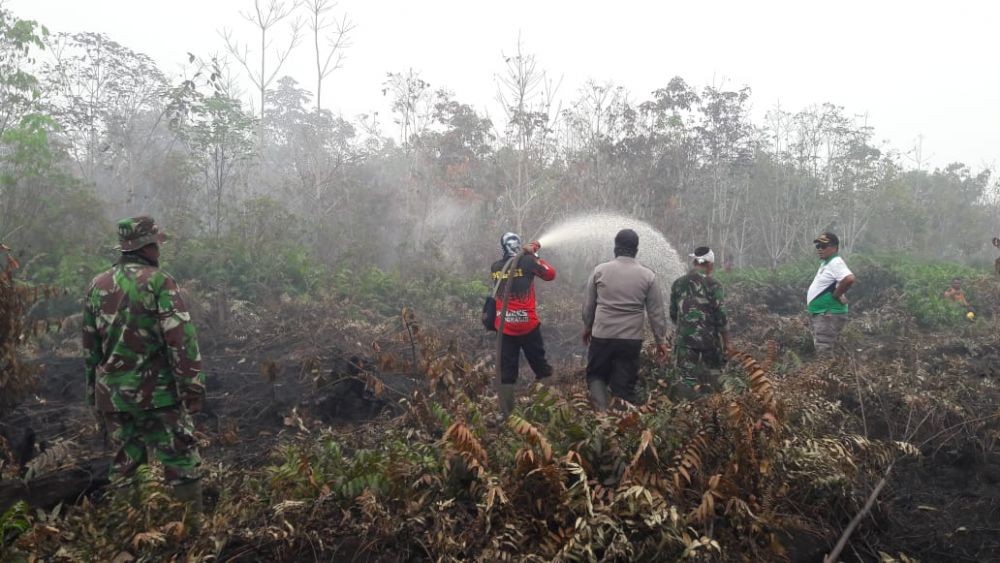 Astaga, Dalam 2 Bulan Lahan Seluas 843 Hektare Terbakar di Riau 