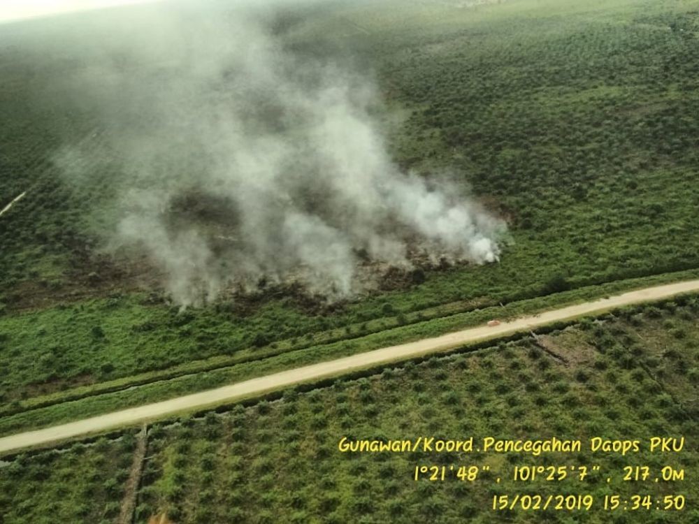 Astaga, Dalam 2 Bulan Lahan Seluas 843 Hektare Terbakar di Riau 