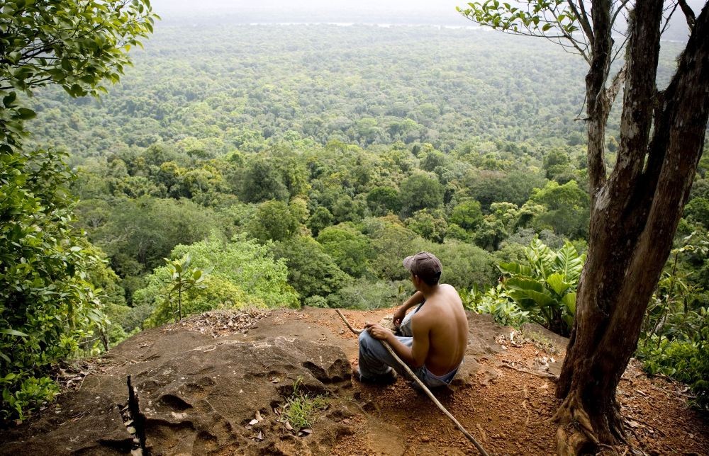 8 Fakta Unik tentang Hutan Amazon, Hadiah Liburan Tamu Oscar 2019