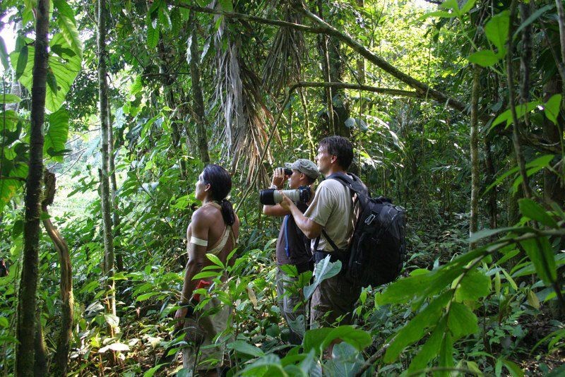 8 Fakta Unik tentang Hutan Amazon, Hadiah Liburan Tamu Oscar 2019