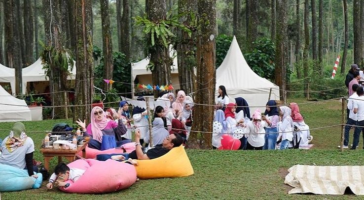 10 Spot Foto Epic di Orchid Forest Lembang Bandung, Lokasi Lalala Fest