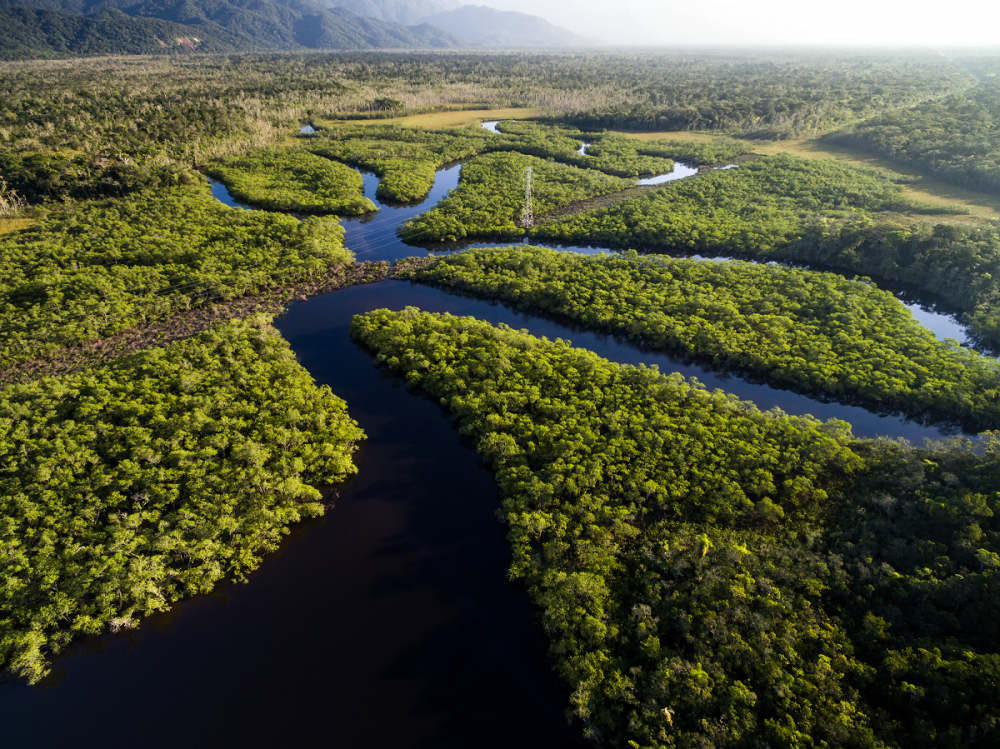 Foto hutan Amazon dari udara