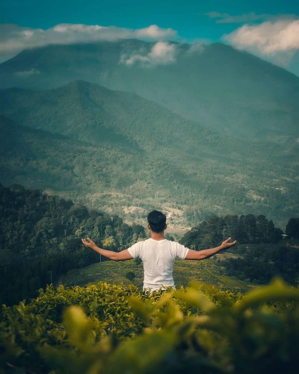 10 Tempat Wisata Di Puncak Yang Instagramable Dan Wajib