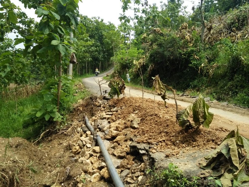 Diguyur Hujan, Jalan Penghubung Kecamatan di Tuban Longsor