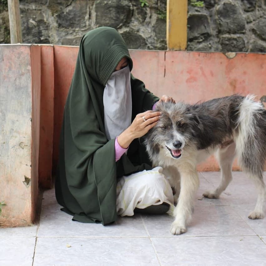 Hesti Sutrisno Wanita Bercadar Pelihara Anjing Liar