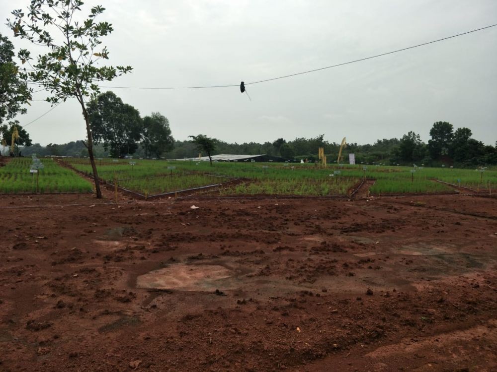 Lestarikan Wayang Golek, Taman Giri Harja Bakal Berdiri di Purwakarta