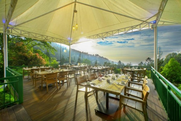 Cocok Buat Bulan Madu, 10 Hotel di Puncak dengan Pemandangan Terbaik