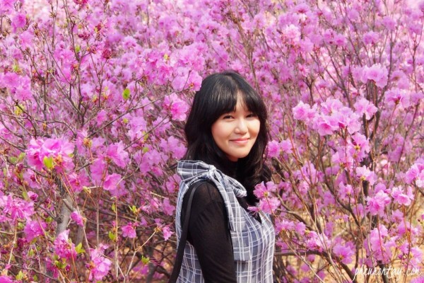 10 Jenis Bunga Yang Mekar Selama Musim Semi Di Jepang