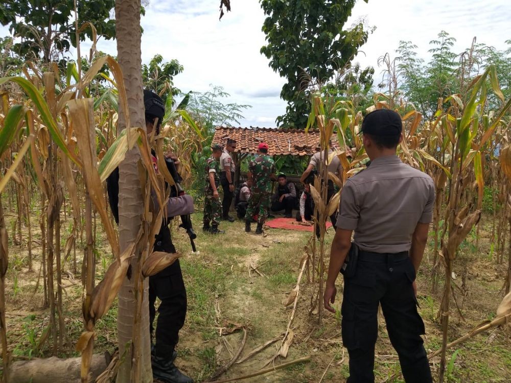 13 Mortir Aktif Ditemukan di Dekat Rumah Ratu Belanda di Tuban