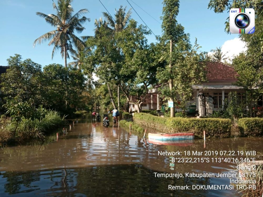 Banjir yang Landa 225 KK di Jember Berangsur Surut