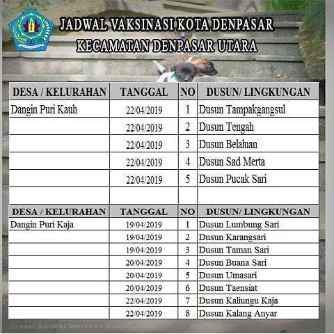 Jadwal & Lokasi Vaksinasi Massal Gratis di Denpasar, Ikut Yuk!