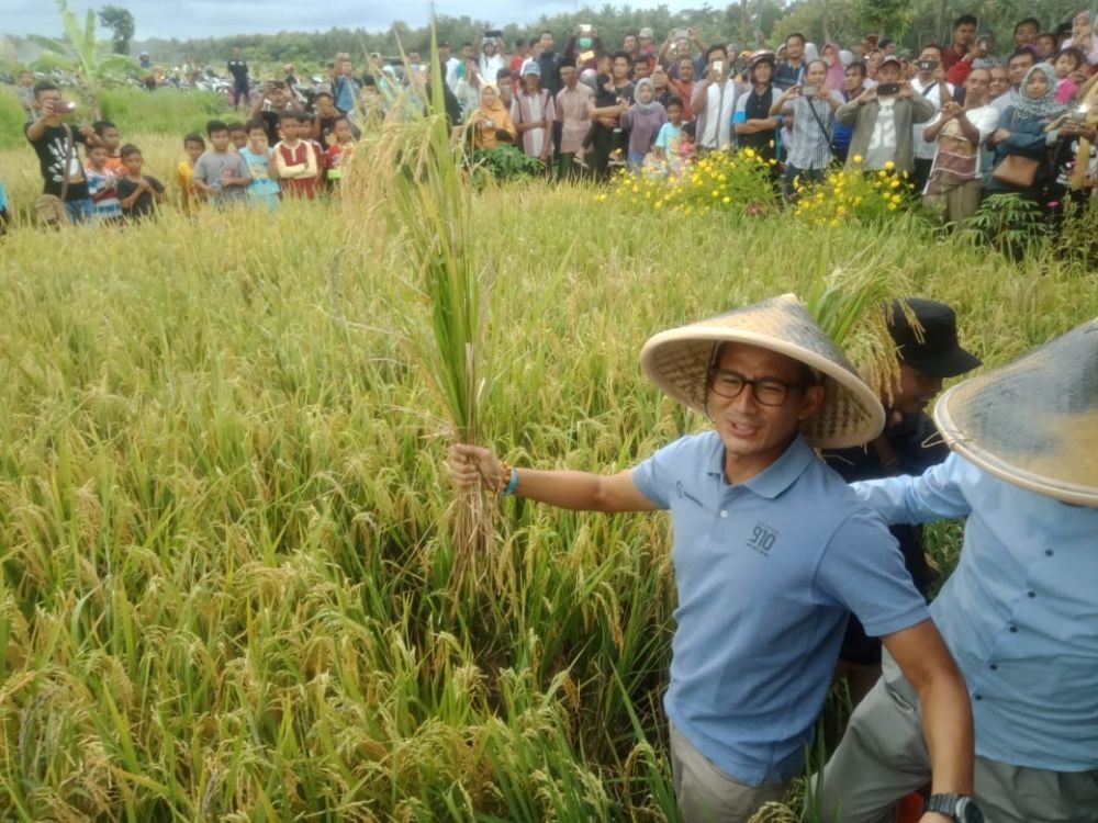 Prabowo Subianto akan Mulai Kampanye Terbuka di Manado