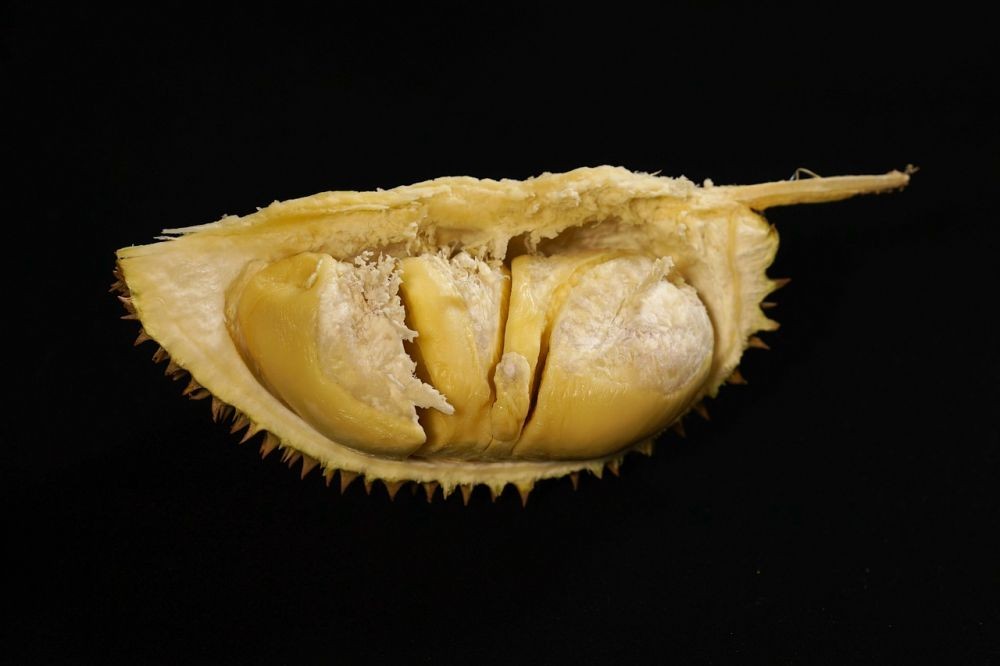 5 Cara Simpan Durian agar Awet untuk Oleh-oleh dari Medan