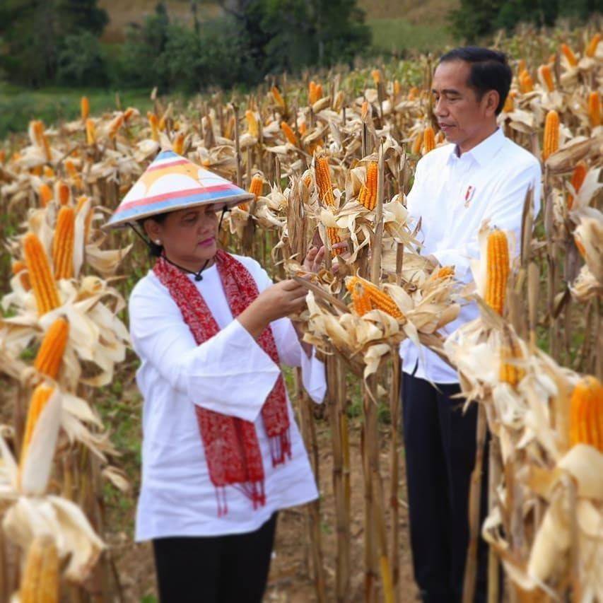 Setia Mendampingi, 10 Potret Mesra Jokowi Dan Iriana Yang Bikin Baper