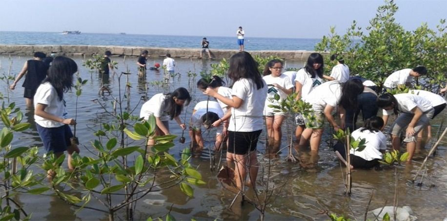 Wisata Pulau Pari, Liburan dengan Keindahan Alamnya yang Memesona