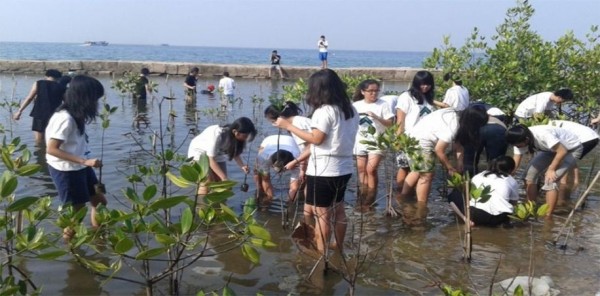 Wisata Pulau Pari, Liburan dengan Keindahan Alamnya yang Memesona