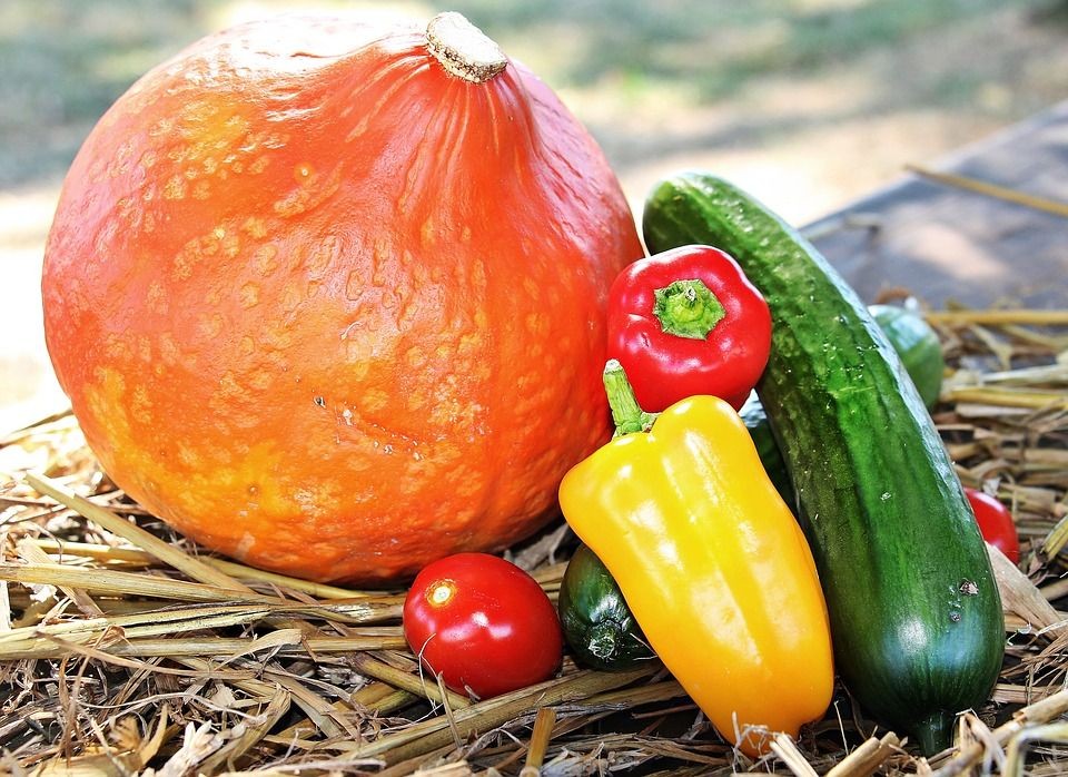 Sebenarnya Tomat Buah atau Sayur? Ini 8 Penjelasan Ilmiah ...