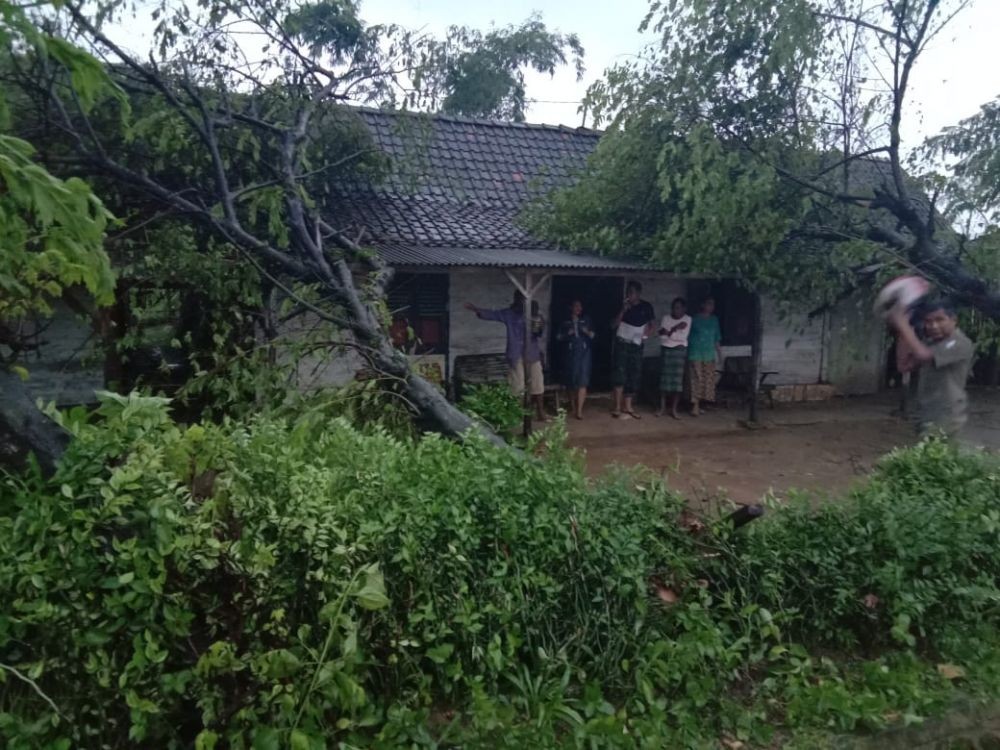 Angin Puting Beliung Terjang Bojonegoro, Puluhan Rumah Rusak Parah