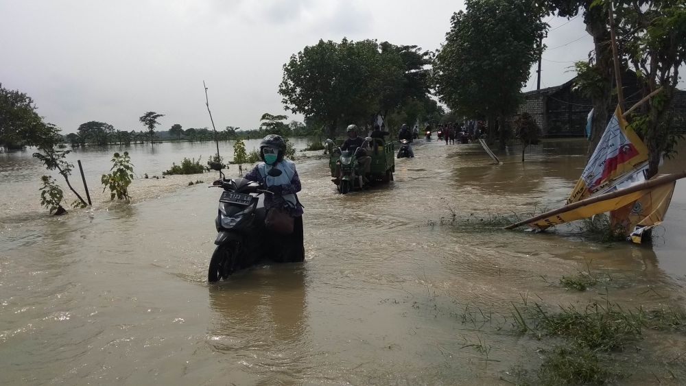 Banjir Rendam Padi dan Memutus Jalan Kecamatan di Lamongan 