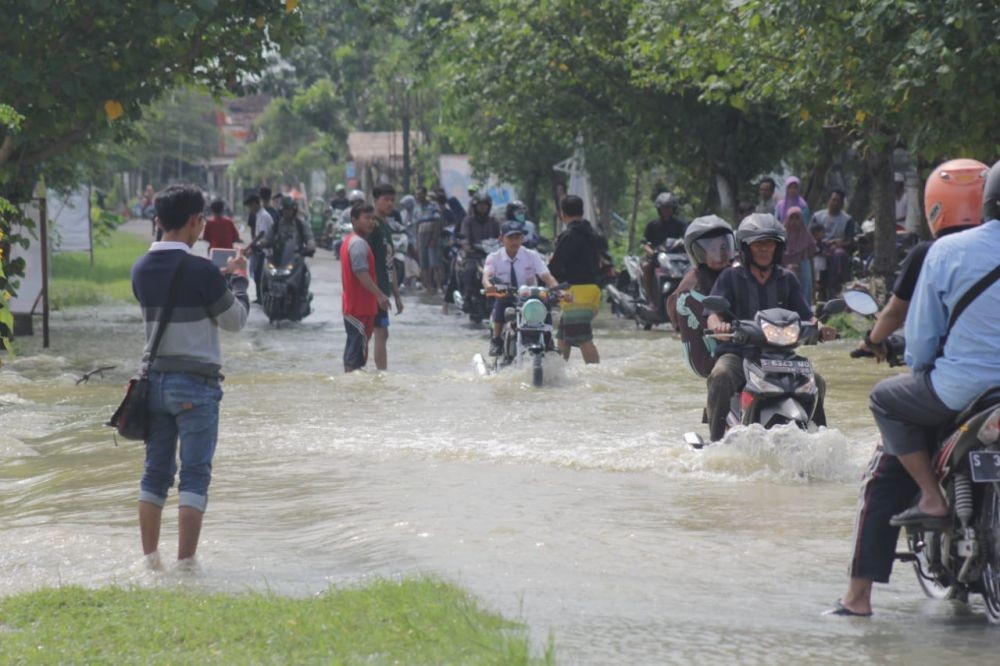 Banjir Rendam Padi dan Memutus Jalan Kecamatan di Lamongan 